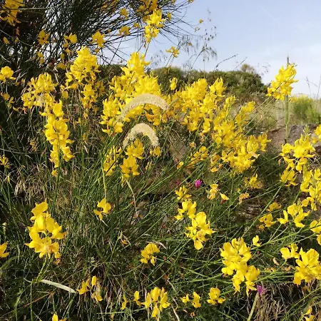 Casa de Férias Casa Cossu *