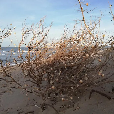 Casa de Férias Casa Cossu *